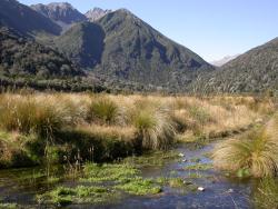 Image: Kerry Ford © Landcare Research 